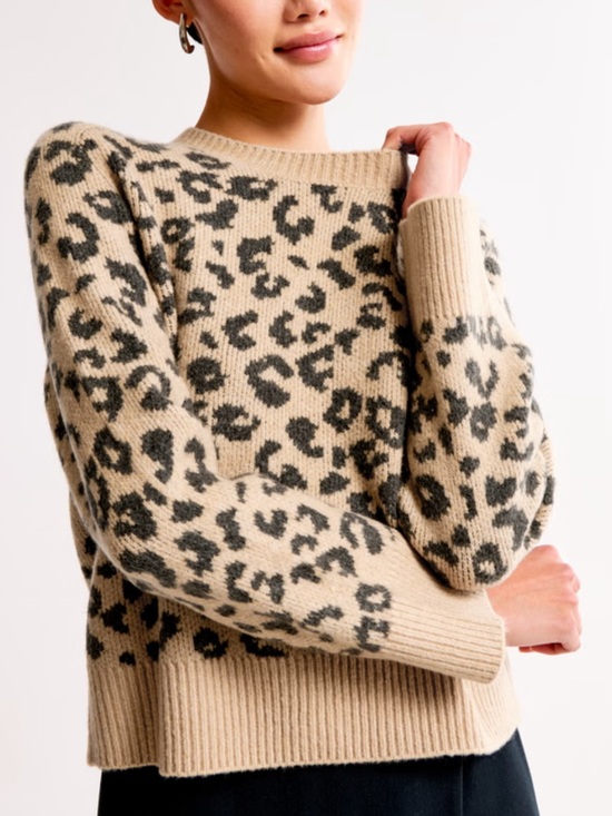 Abercrombie & Fitch Sweaters - Abercrombie & Fitch Madeline Leopard Print Oversized Crew Neck Sweater